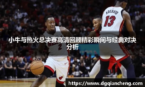 小牛与热火总决赛高清回顾精彩瞬间与经典对决分析